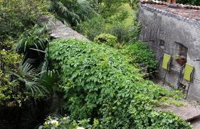 Appartamenti Raineri - Foto 1