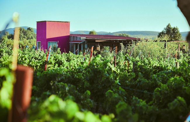 Ecléctico Guadalupe - Foto 1