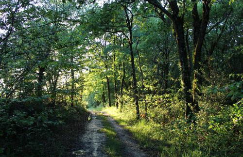 La maison de Demeter, 10 min d'Eugénie, calme des Landes Intérieures - Foto 31