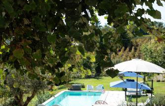 Tenuta Dei Vicini - Luxury Apartments - Foto 38