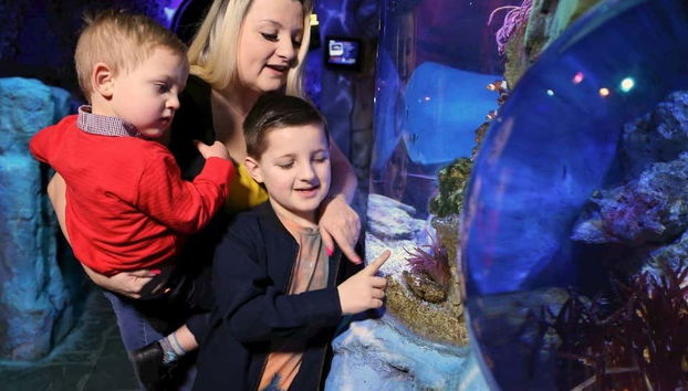 Acuario en la Torre de Blackpool