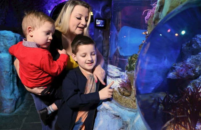 Blackpool BIG Ticket - Photo 5