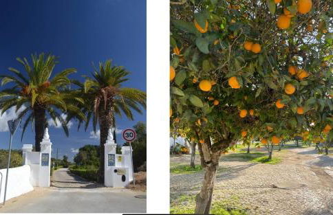 Luxury 2 Bedroom Villa on Quinta da Saudade - Foto 42