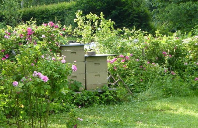 Holiday Apartment Garden Paradise - Foto 16