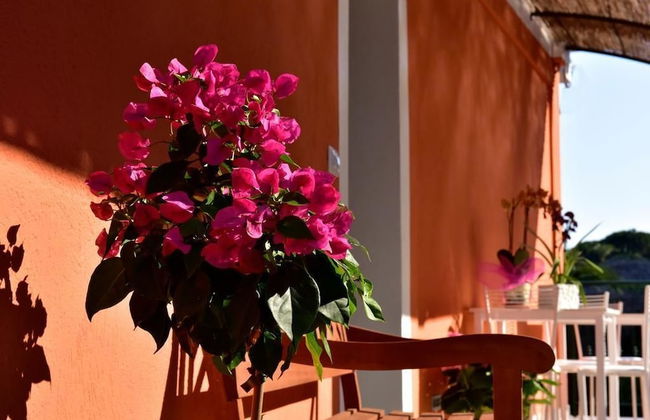 Agriturismo Un Mare di Fiori - Foto 43