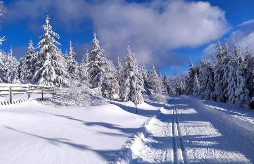 Apratmán Julie – Bavorská Ruda - Foto 38