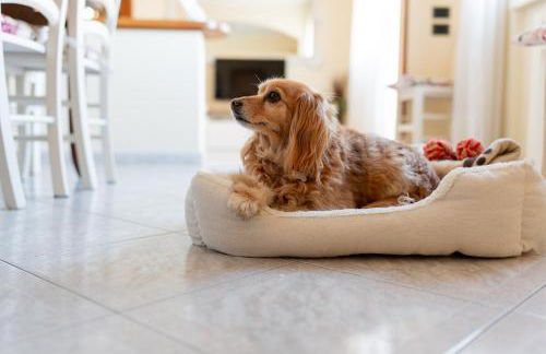 Appartamento La Rondine - Foto 40