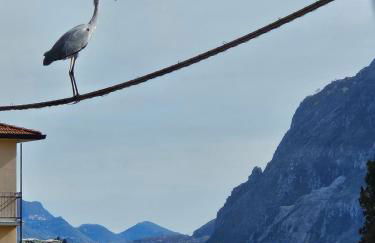 L'AIRONE - casa vacanza - Foto 14