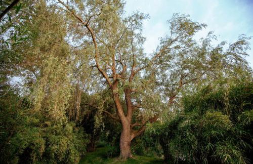 Pigsty Cottage - Rudge Farm Cottages - Foto 39