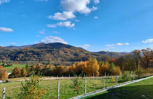 Domki- Limanowa, domki z balią i sauną - Foto 51