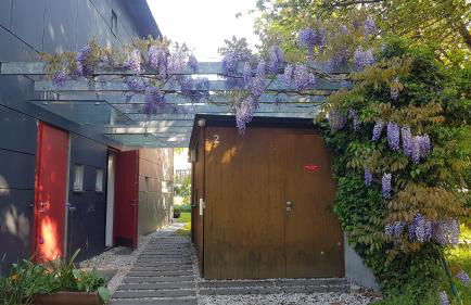 Ferienwohnung am Römischen Haus - Foto 17