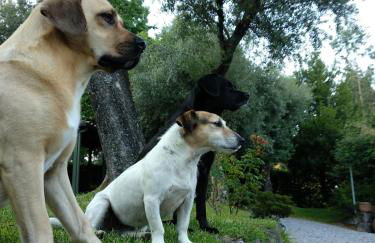 Casa Castel'Rei - Photo 40