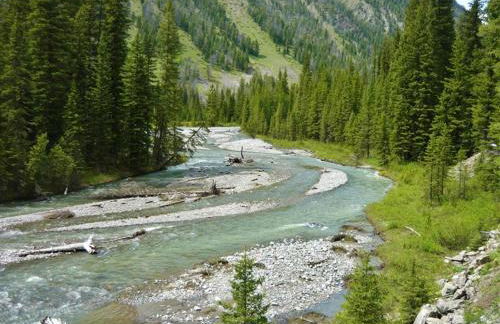 Cozy Immaculate Cabin - Peaceful Retreat! - Foto 24