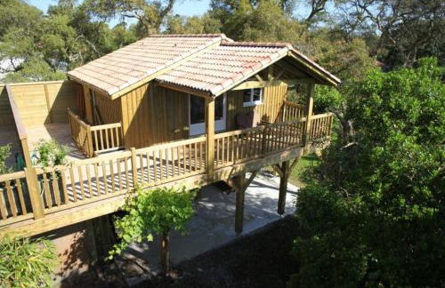 Les chats perchés 400m plage G - Foto 28