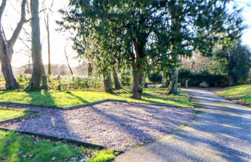 The Apple Store - Photo 27