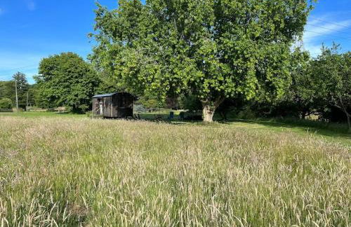 Mountbatten Shepherds hut & Buckhurst Shepherds hut - Foto 5