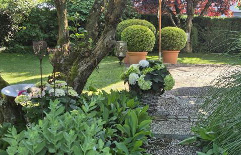 Ferienwohnungen Riedel - Foto 12