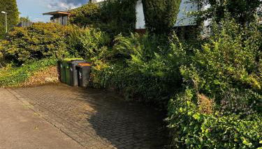 Ferienwohnung Hähn in Sinspert - Foto 4, Garden