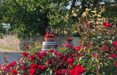 Agriturismo La Posta Reale - Foto 21