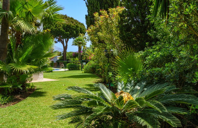 Las Acacias - Foto 24