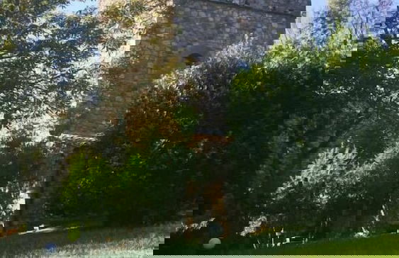 Podere Vitiano - Foto 27