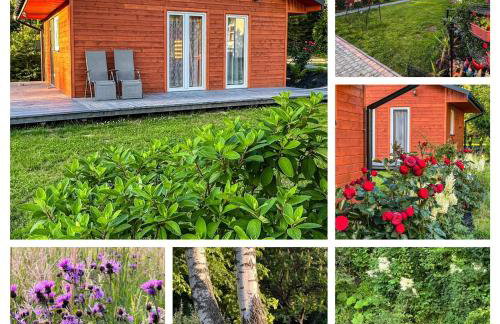 ZIELONY GAJ przy SOLINIE - Foto 11