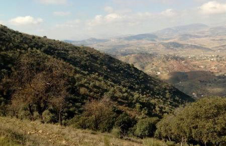 Casa Cuatro Vientos - Casabermeja - Foto 36