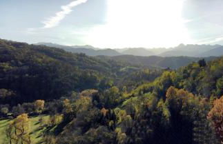 Maison avec vue, grand terrain clos, bain nordique privé toute l'année, animaux acceptés - Foto 28