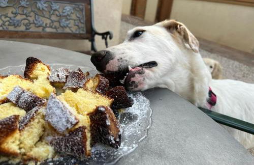 SetterHouseAgriHotel - Photo 26