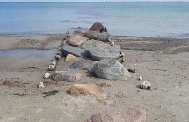 Ferienwohnung "Luv" Grube Ostsee - Foto 38