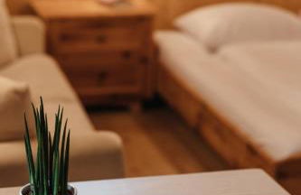 Garni Ciasa Urban - Foto 68