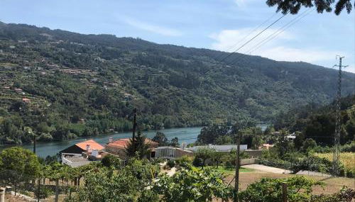 Quinta do galo - Foto 3