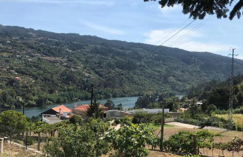 Quinta do galo - Foto 3
