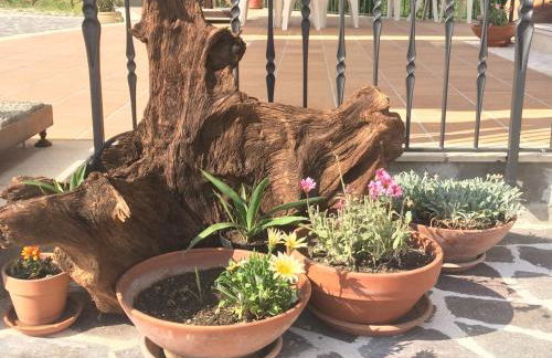 Agriturismo I Tre Ulivi - Foto 82