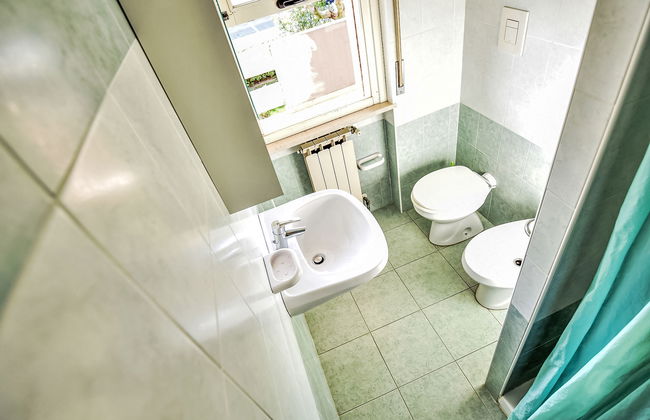 Green Marine, Palme, Ismare - Foto 12