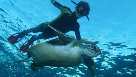 Nadando con tortugas
