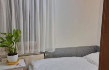 Orzechowy Dom - Foto 15