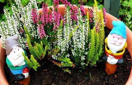 Dalmatian House, spacious stone terraces, balcony , views - Foto 32