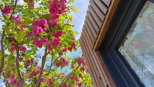 La Cabane de Lili Prune - Foto 2, Garden, Garden view