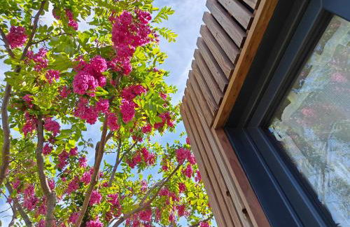 La Cabane de Lili Prune - Foto 2