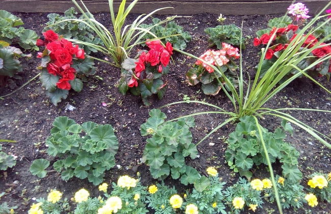 LeMarida Suites - Foto 28