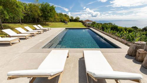 Guava Azores - Photo 4