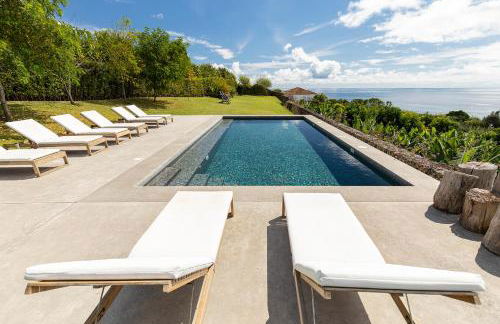 Guava Azores - Photo 4