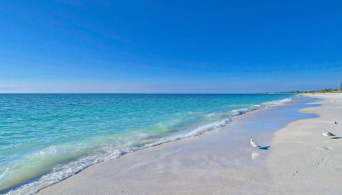 You Only Live Once - Foto 4