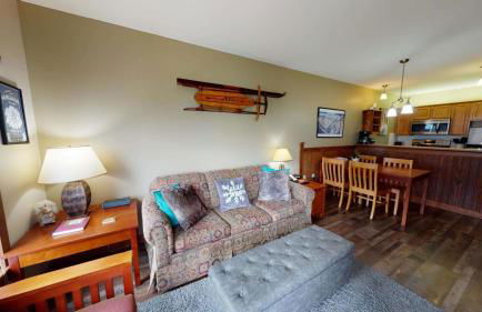 Allegheny Spg - Cozy Condo Ski from our patio - Foto 5