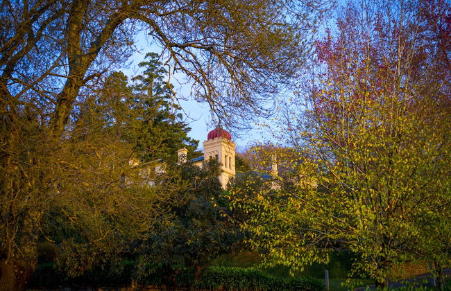 Briars Cottage - Daylesford - Foto 29