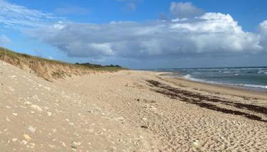 maison de famille ile de ré 3 étoiles - Foto 5