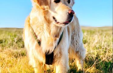 Taun Hövt - Photo 15