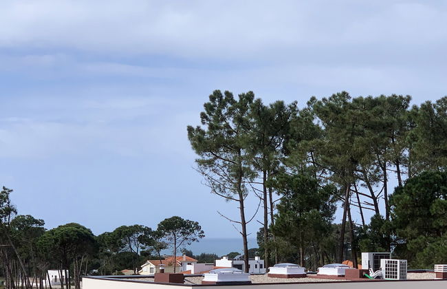 LV Premier LA2 Pool AC Garden sea View - Photo 49