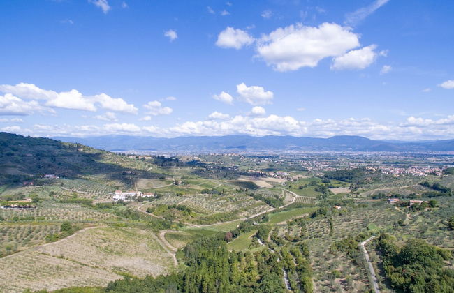 Agriturismo La Fattoria di Capezzana - Foto 74
